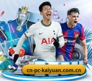 cn-pc-kaiyuan.com.cn的故事